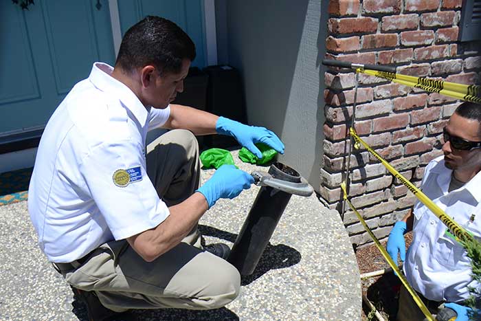 Plumbers at work